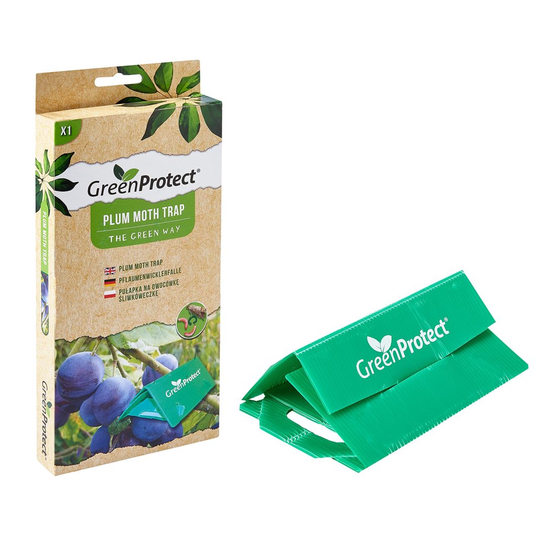 Tələ Green Protect Plum Moth Trap gavalı güvəsi üçün — Mallar, Bakı
