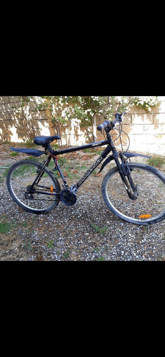Velosiped — Velosipedlər, Bakı (6)