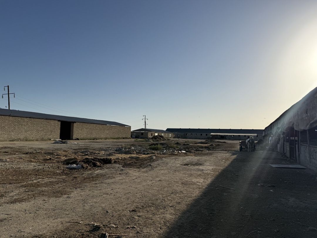 Satılır obyekt 20000 m² — Əmlak, Bakı (8)