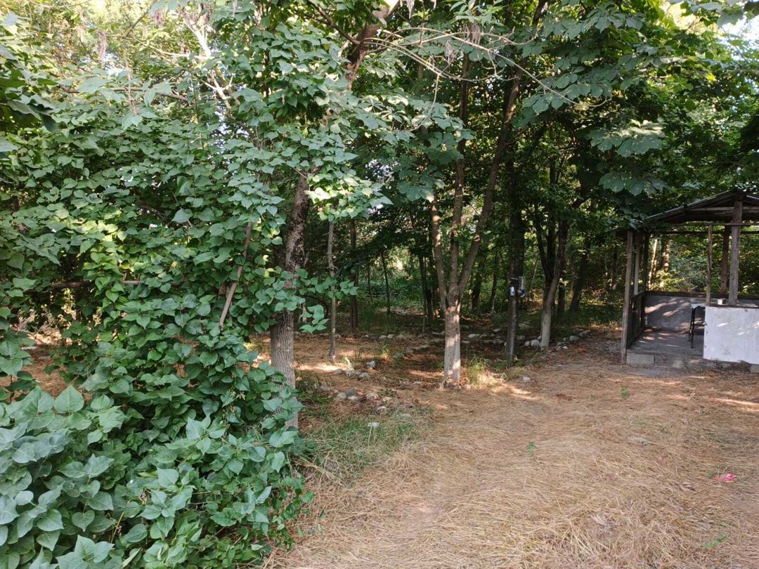 Satılır obyekt 800 m² — Əmlak, Quba (7)