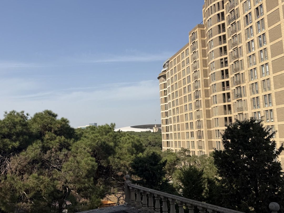 Satılır 8 otaqlı həyət evi/bağ evi 300 m² — Ev, villa, Bakı (9)
