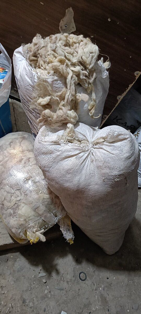 Qoyun yunu — Tekstil, Bakı