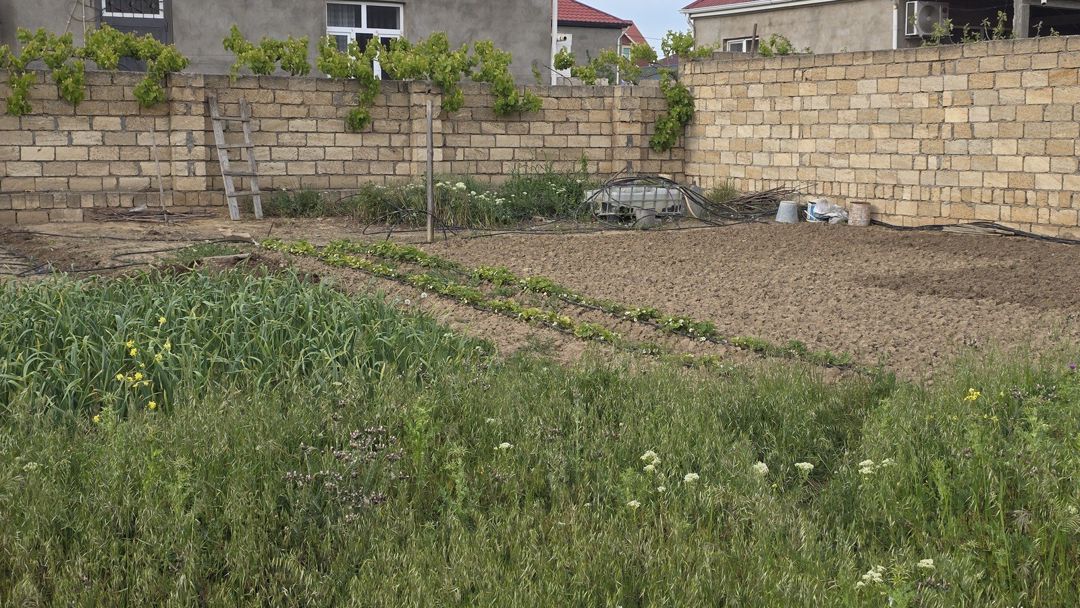 Satılır torpaq 25 sot — Torpaq, Bakı (3)