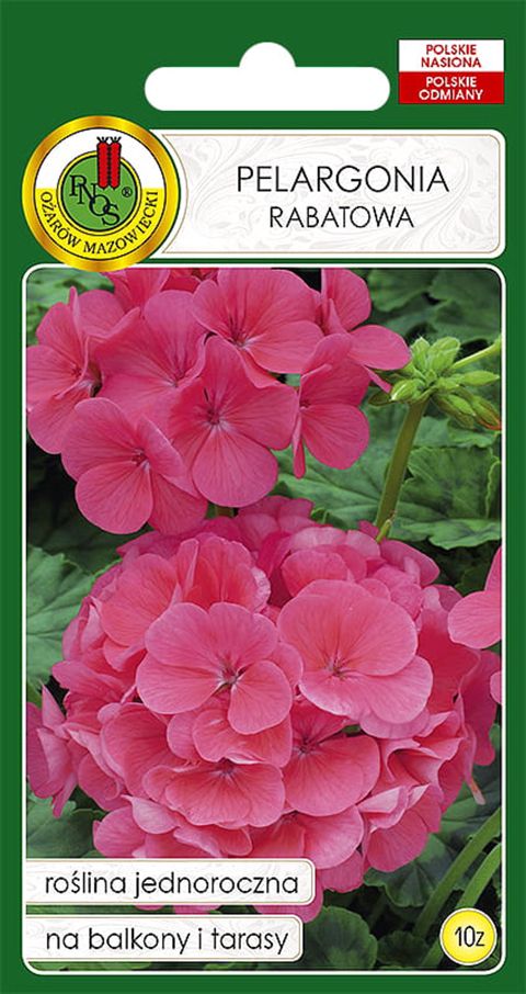 Çiçək toxumları Pnos Pelargonia Rabatowa 10 əd — Bakı
