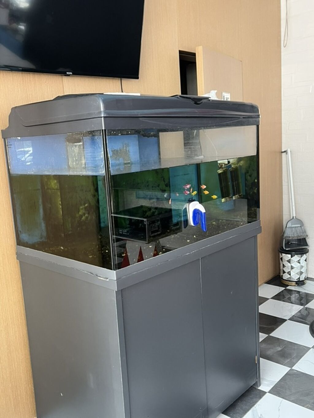 Böyük həcmli akvarium komplekti - Şüşə akvarium: geniş ön baxış — Akvariumlar və balıqlar, Bakı (6)