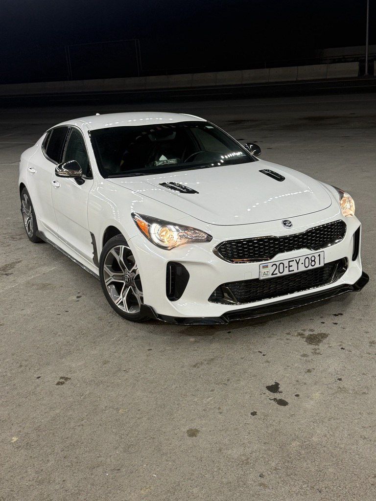 Kia Stinger, 2.0 L, 2020 il, 196 340 km 20-EY-081 — Avtomobillər, Ağdam (7)