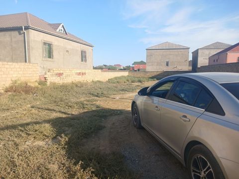 10 sot, Tikinti, Kupça (Çıxarış) — Digah
