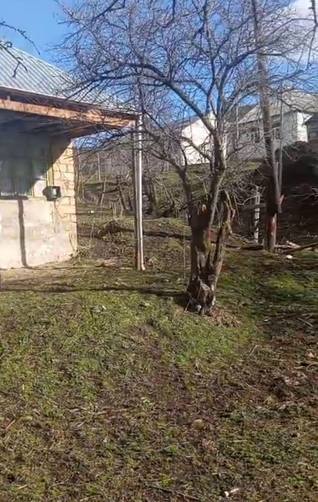 Dağ kəndində yerləşən həyətyanı torpaq sahəsi və köhnə tikili — Ev, villa, Digah (5)