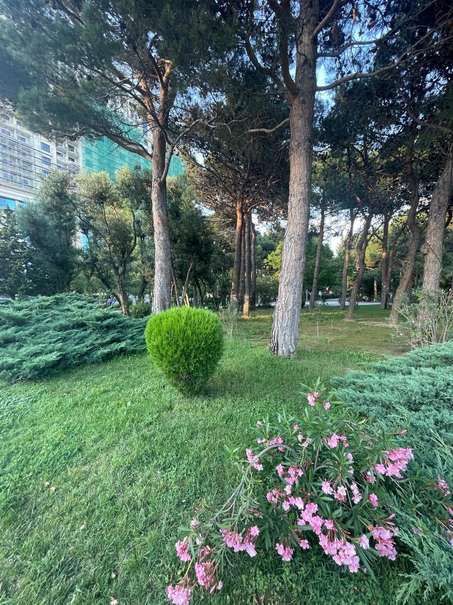 Satılır 2 otaqlı yeni tikili 95 m² — Mənzil, Bakı (2)