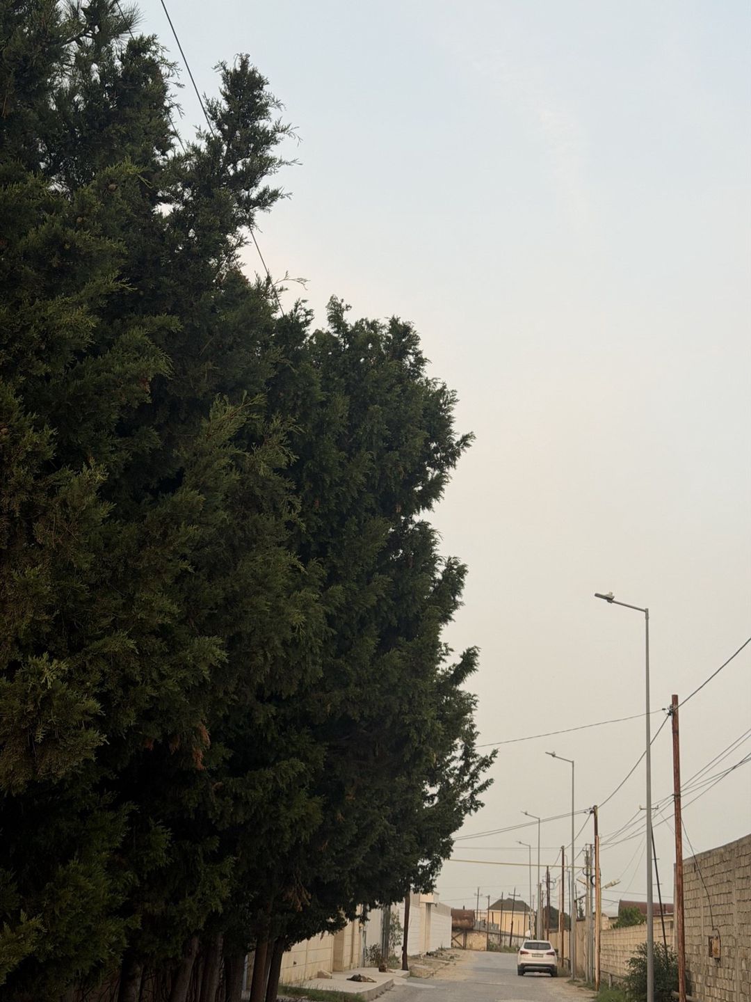Satılır torpaq 50 sot — Torpaq, Bakı (3)