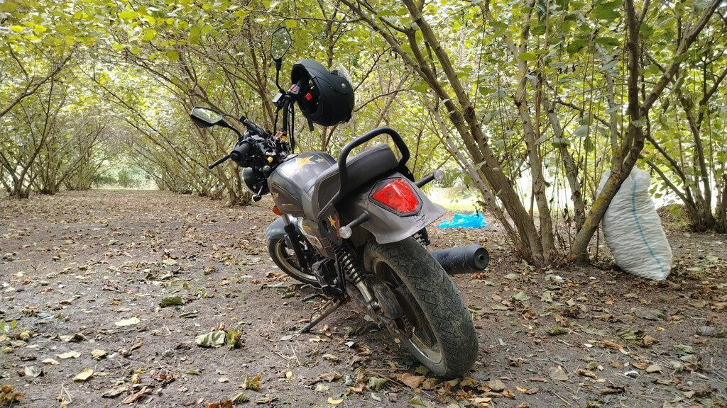 Champ Angel, 50 sm3, 2025 il, 9 000 km — Motosikletlər, Qusar (3)