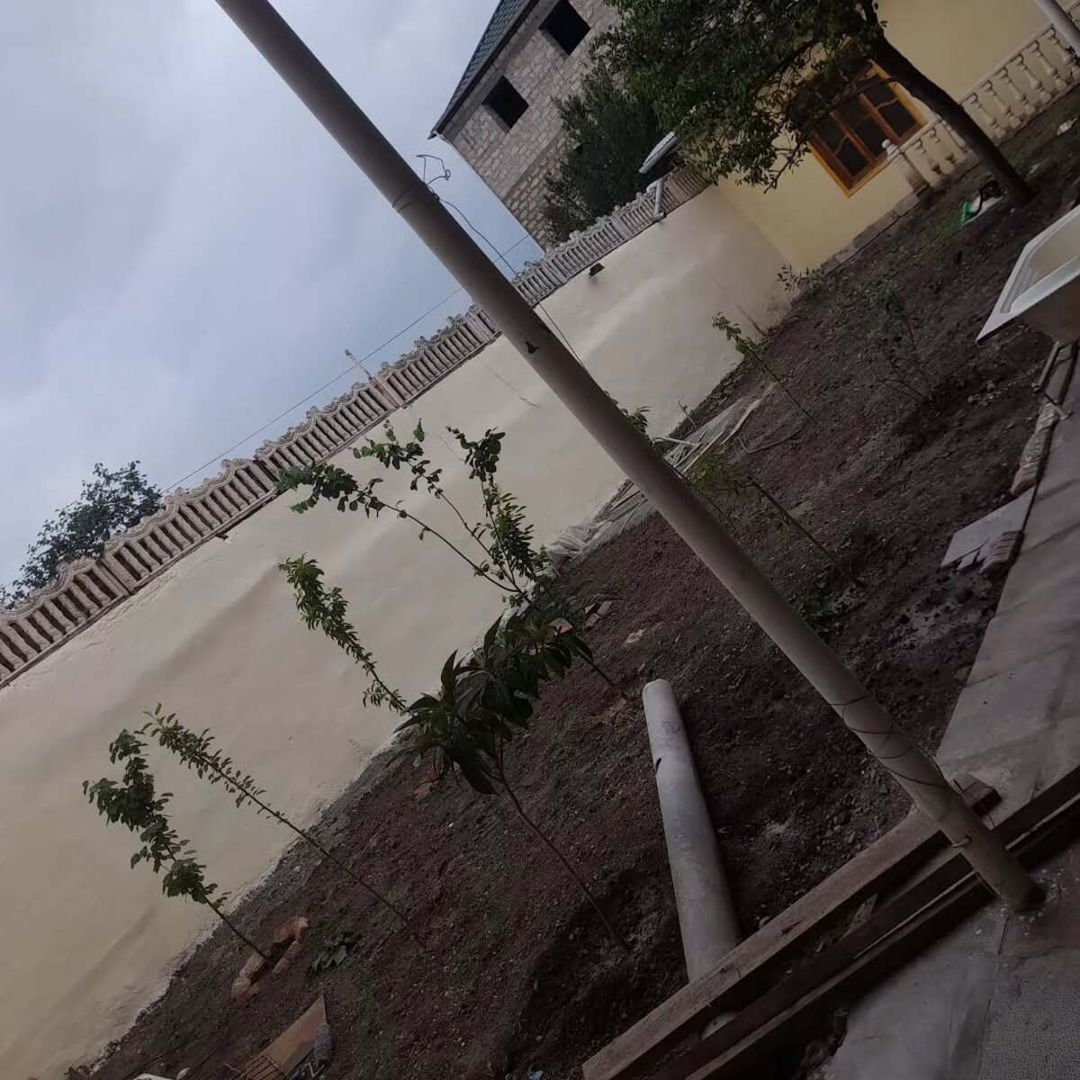 Həyət evi, Gəncə ş — Ev, villa, Gəncə (8)