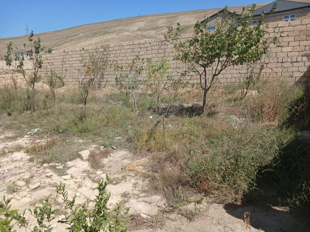 2 sot torpaq sahəsi, Qobu qəs — Torpaq, Bakı (6)