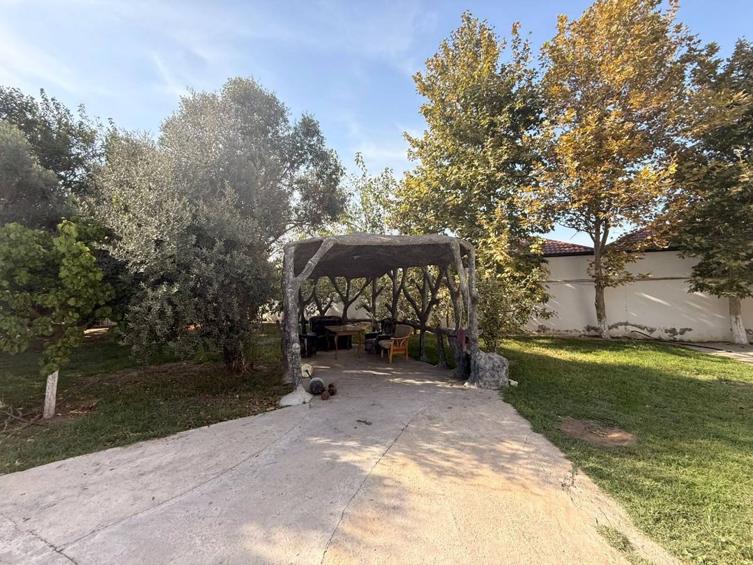 Satılır torpaq 14 sot — Torpaq, Bakı (5)