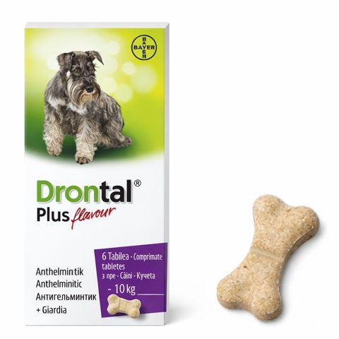 Həblər Bayer Drontal Plus itlərdə helmintozların müalicəsi üçün, ət dadı ilə, 1 həb — Bakı