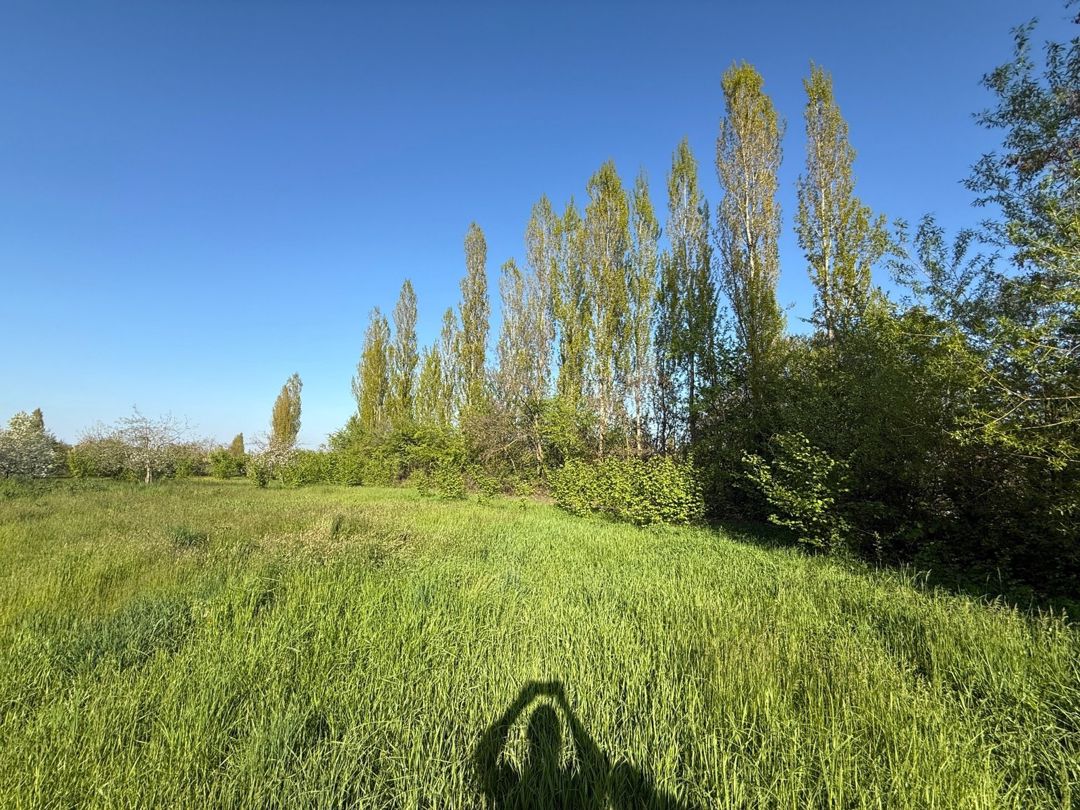 3 sot torpaq sahəsi, Qusar r — Torpaq, Qusar (4)