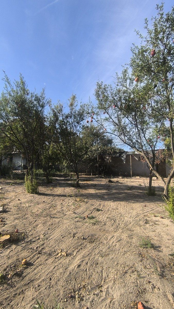 Satılır torpaq 3.5 sot — Torpaq, Bakı (11)