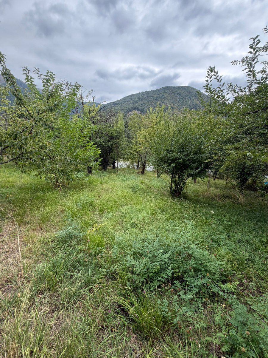 Həyət evi, Şəki ş — Ev, villa, Şəki (8)