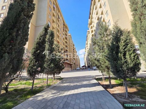 Məmmədli qes — Bakı