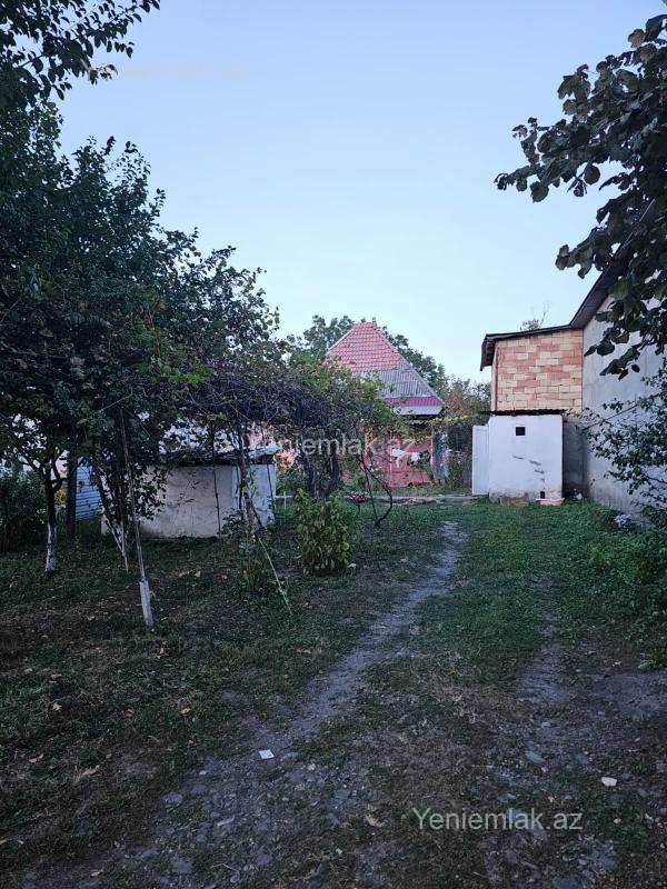 Satılır Torpaq sahəsi, 10 sot, Qəbələ — Torpaq, Qəbələ (2)