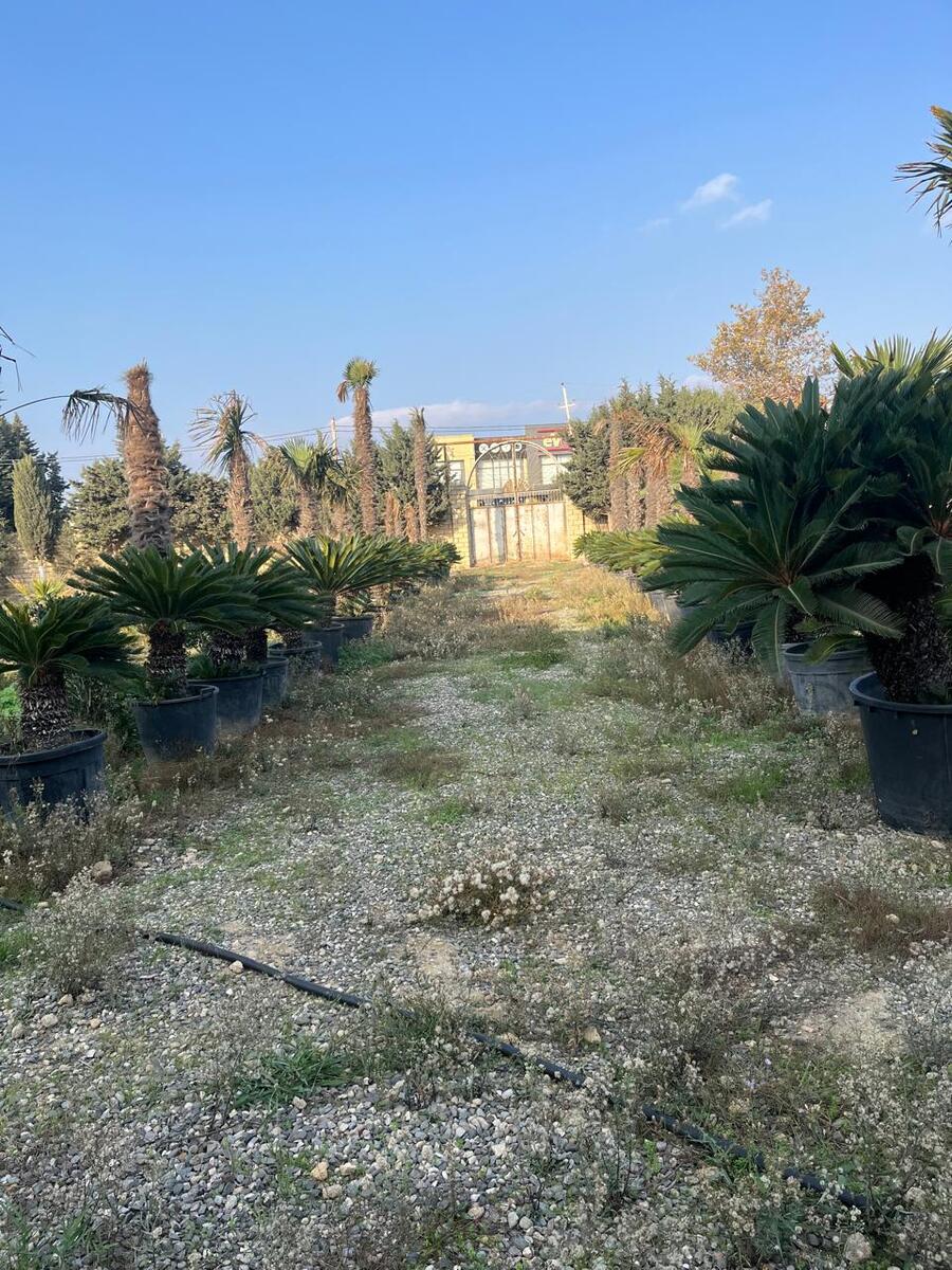 Satılır obyekt 1350 m² — Əmlak, Bakı (7)