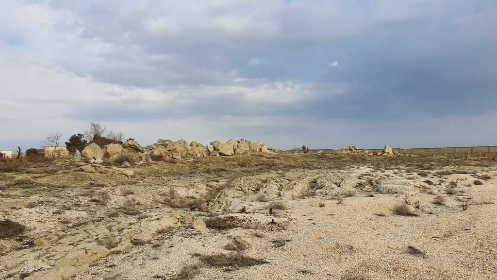Satılır torpaq 530 sot — Torpaq, Bakı (12)