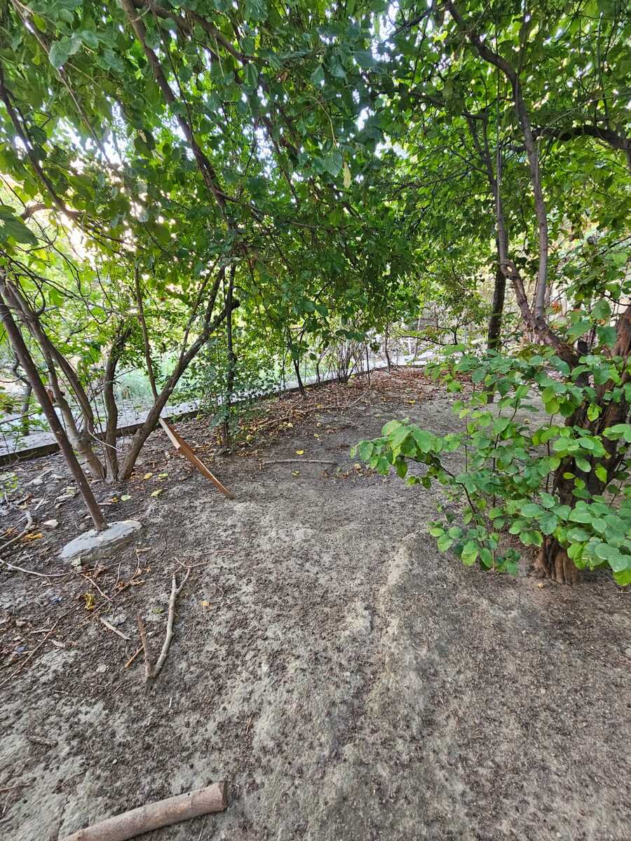 Satılır torpaq 4 sot — Torpaq, Bakı (2)