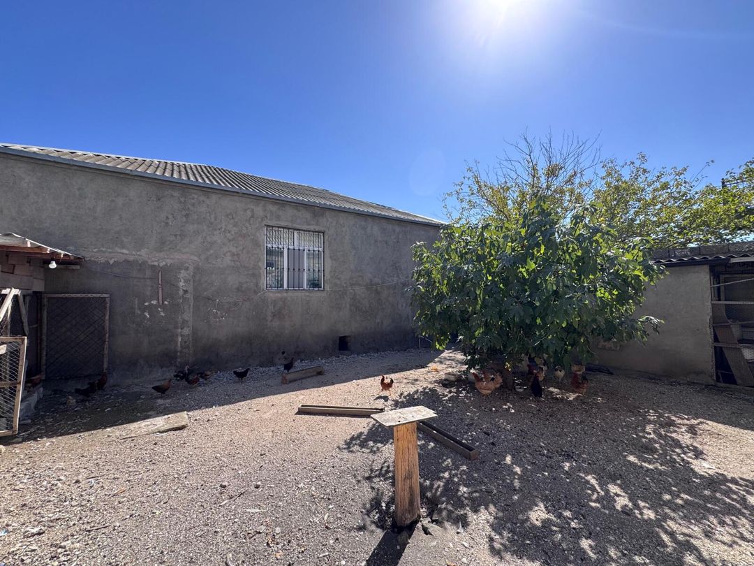 Satılır 3 otaqlı həyət evi/bağ evi 120 m² — Ev, villa, Bakı (4)