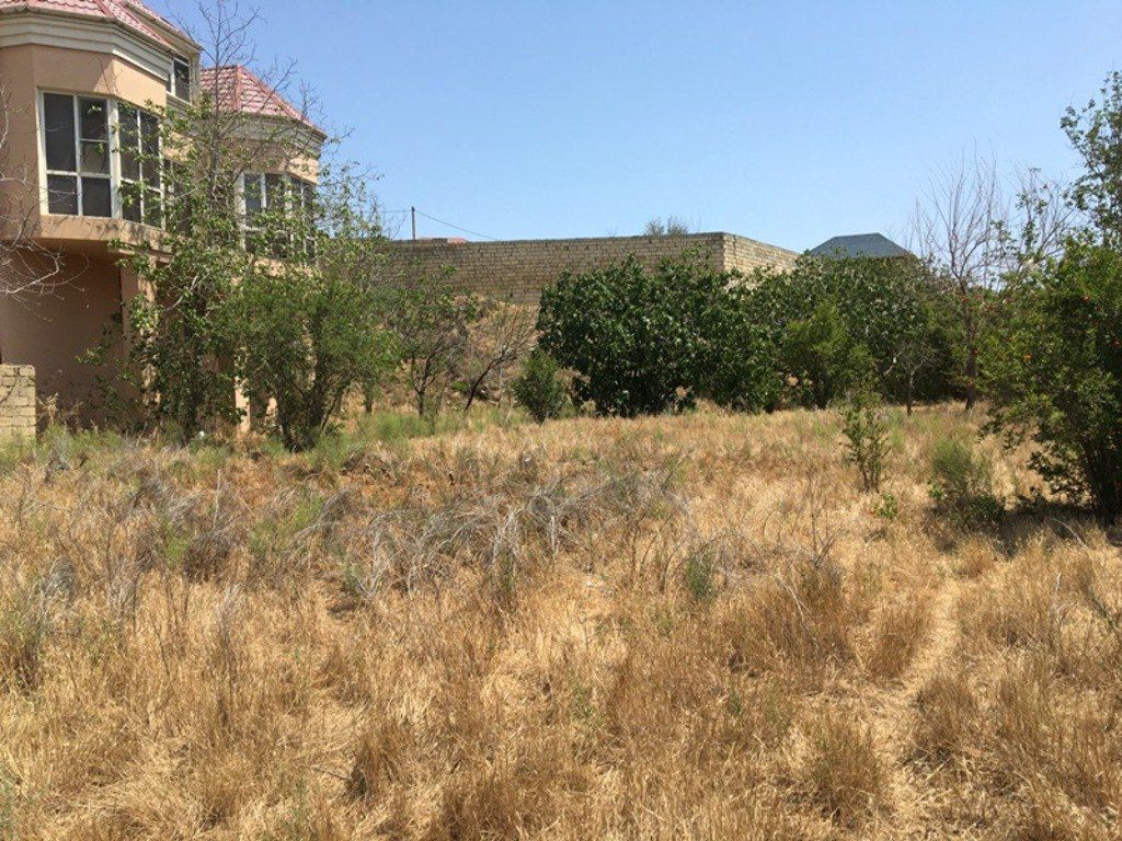 Satılır torpaq 8 sot — Torpaq, Bakı (3)