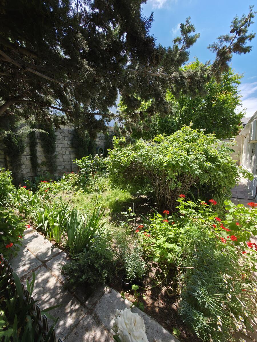 Satılır 4 otaqlı həyət evi/bağ evi 130 m² — Ev, villa, Bakı (5)