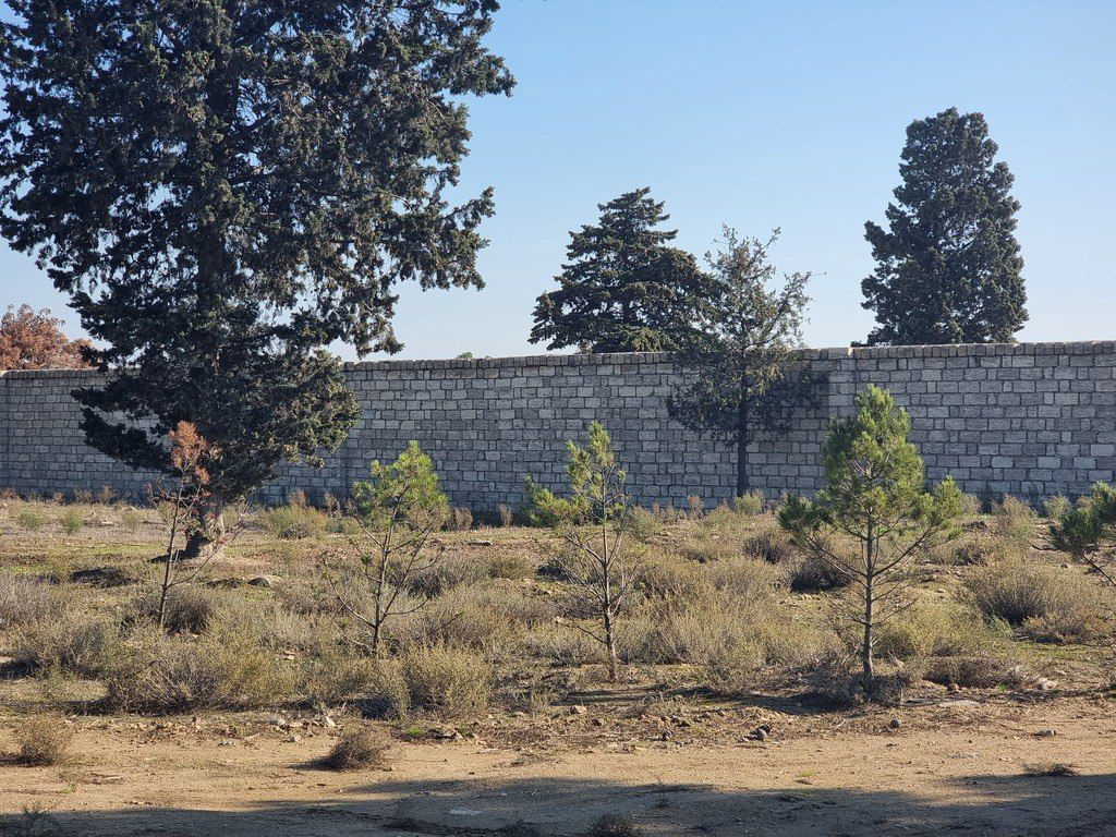 Satılır torpaq 90 sot — Torpaq, Bakı (6)