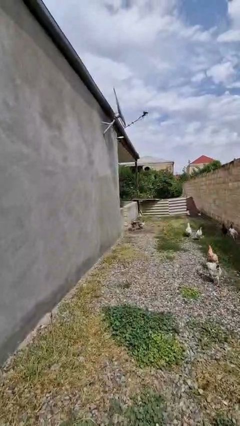 4 otaqlı, 1000 kv. m, Kredit yoxdur, Orta təmir — Gəncə