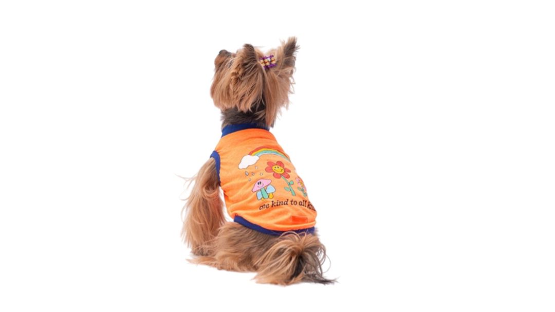 Kofta Pawstar Be Kind Neon Orange, narıncı, ölçü L — Mallar, Bakı (2)