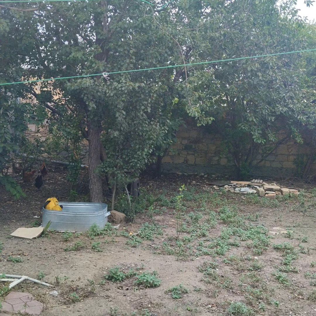 Həyət evi, Gəncə ş — Ev, villa, Gəncə (10)