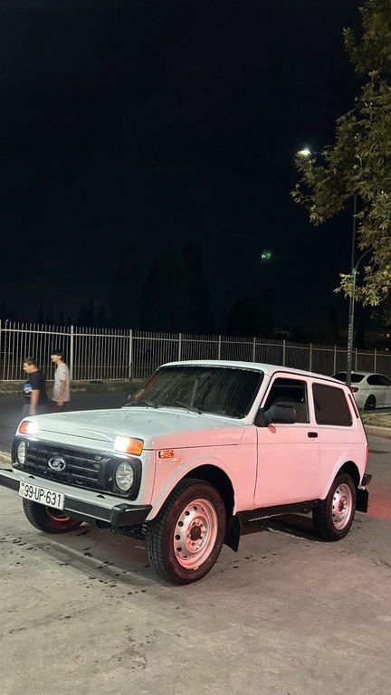 Lada (VAZ) Niva, 1.7 L, 2010 il, 200 000 km 99-UP-631 — Avtomobillər, Gəncə (9)