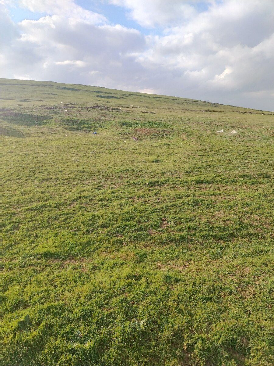Qara torpaq və gübrə — Dacha və bağ, Şamaxı (9)