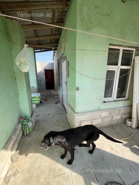 Kirayə 1 otaqlı Həyət evi / Villa, 35 m², Ağstafa — Ağstafa