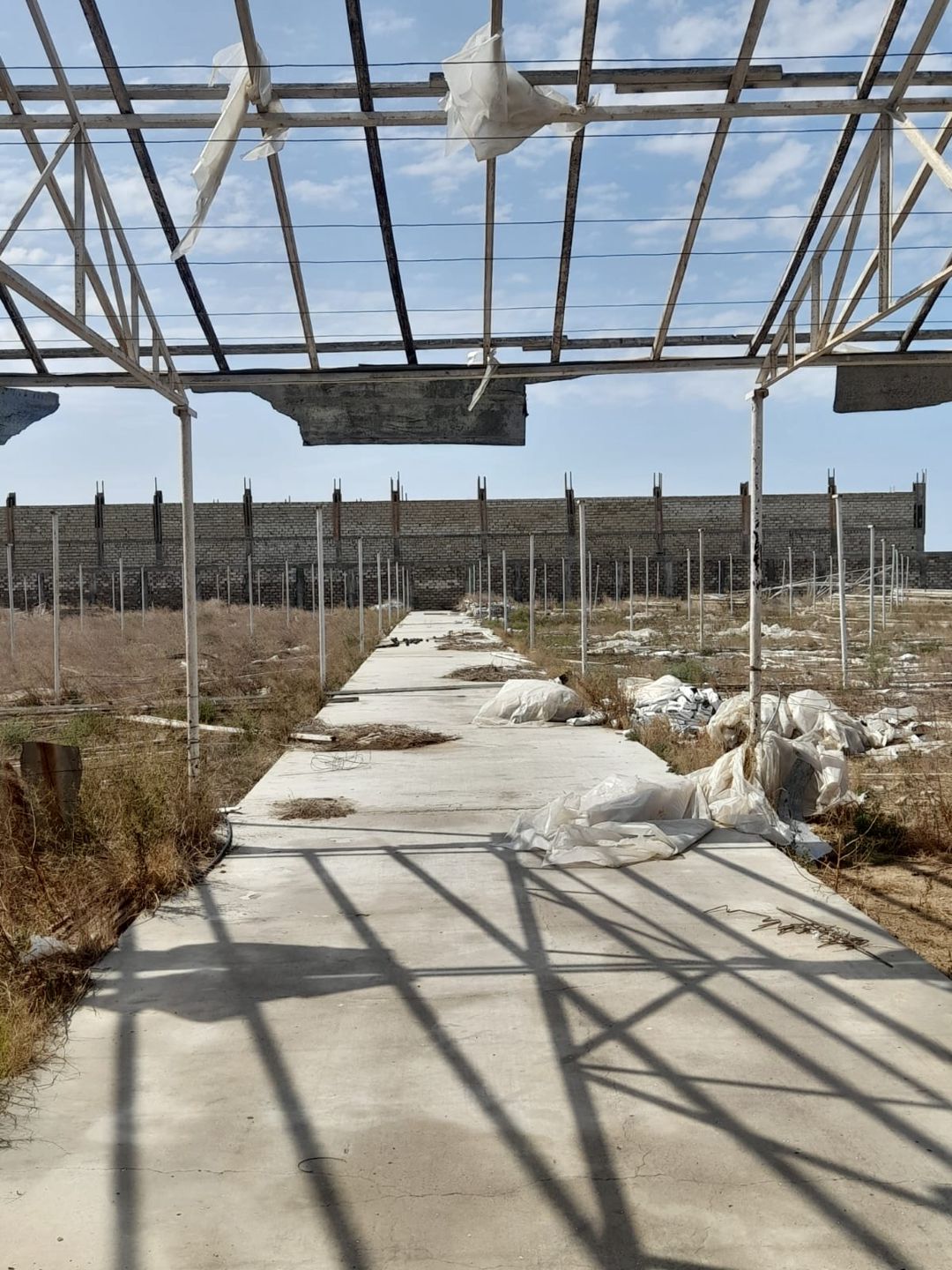 Satış: Torpaq, 135 sot, Xəzər rayonu — Torpaq, Bakı (4)