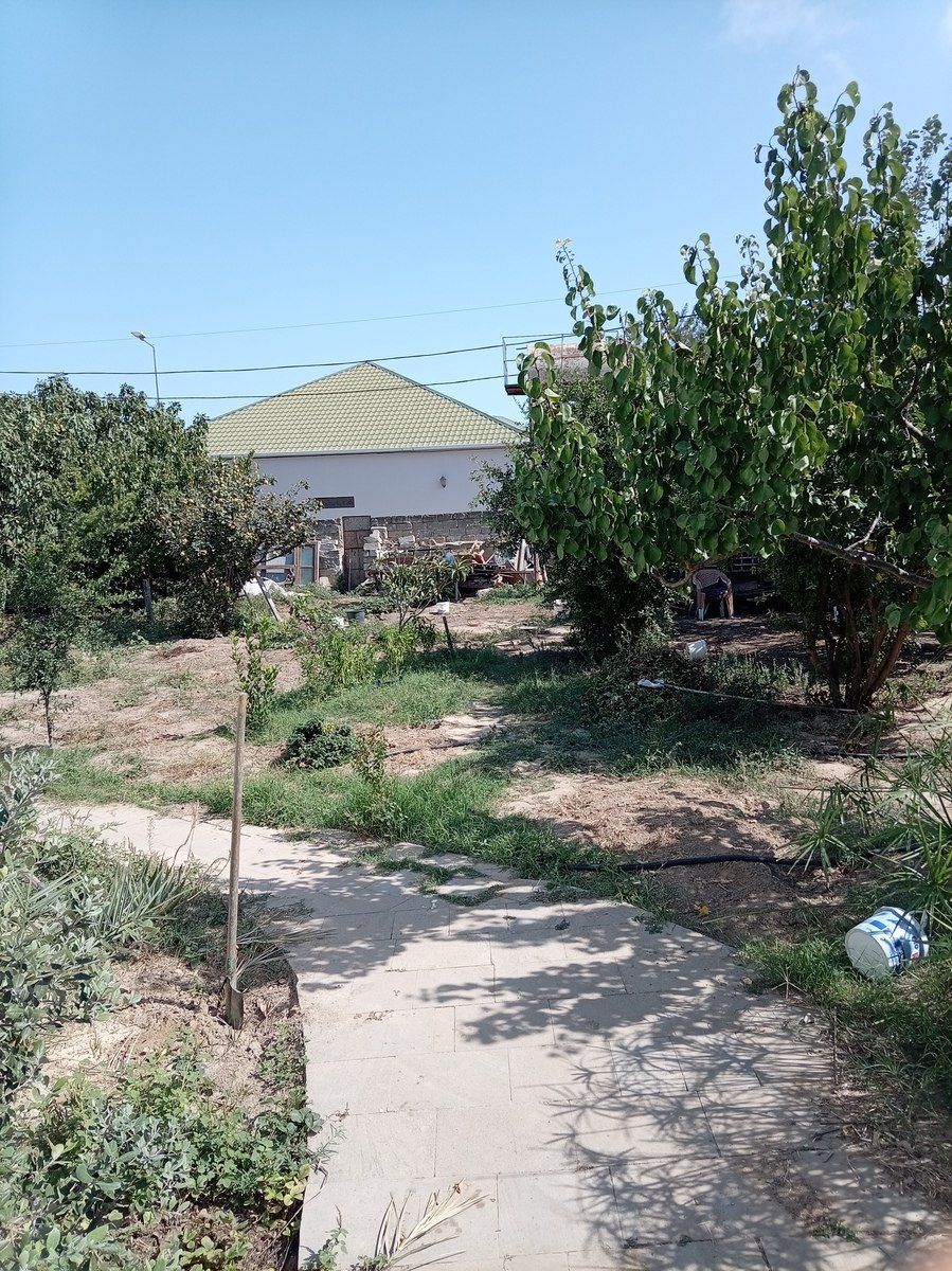 Satılır torpaq 4.5 sot — Torpaq, Bakı (3)