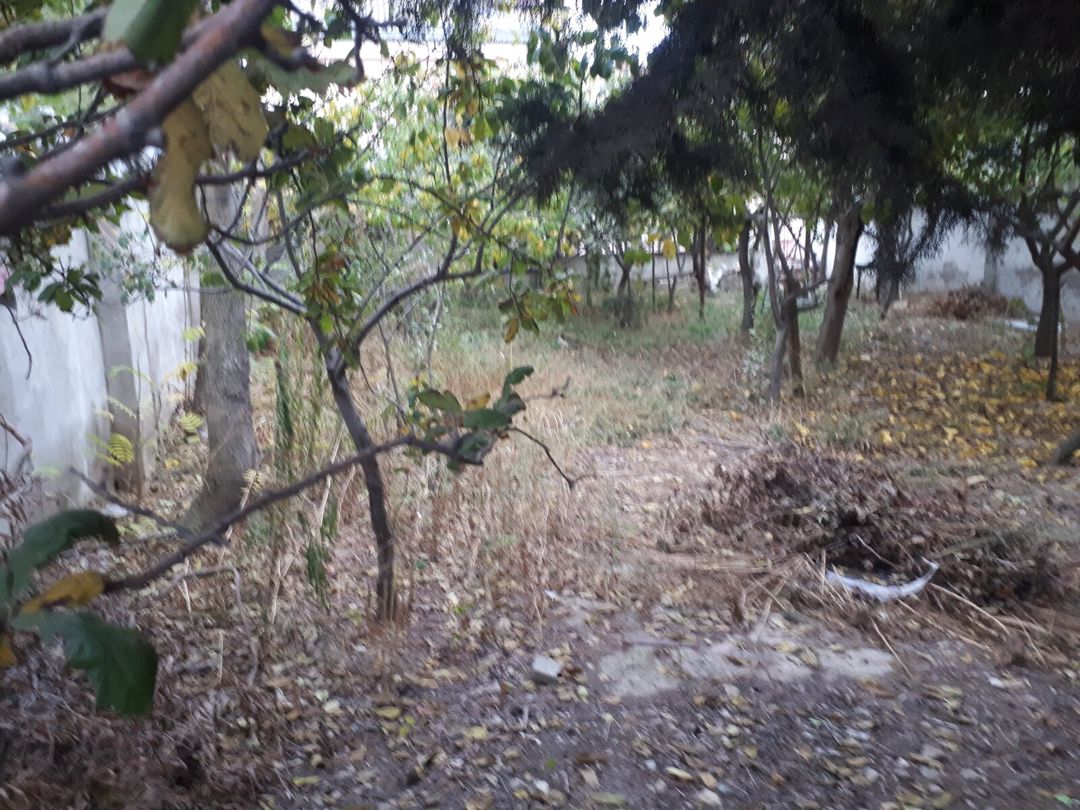 Satılır torpaq 12 sot — Torpaq, Bakı (10)
