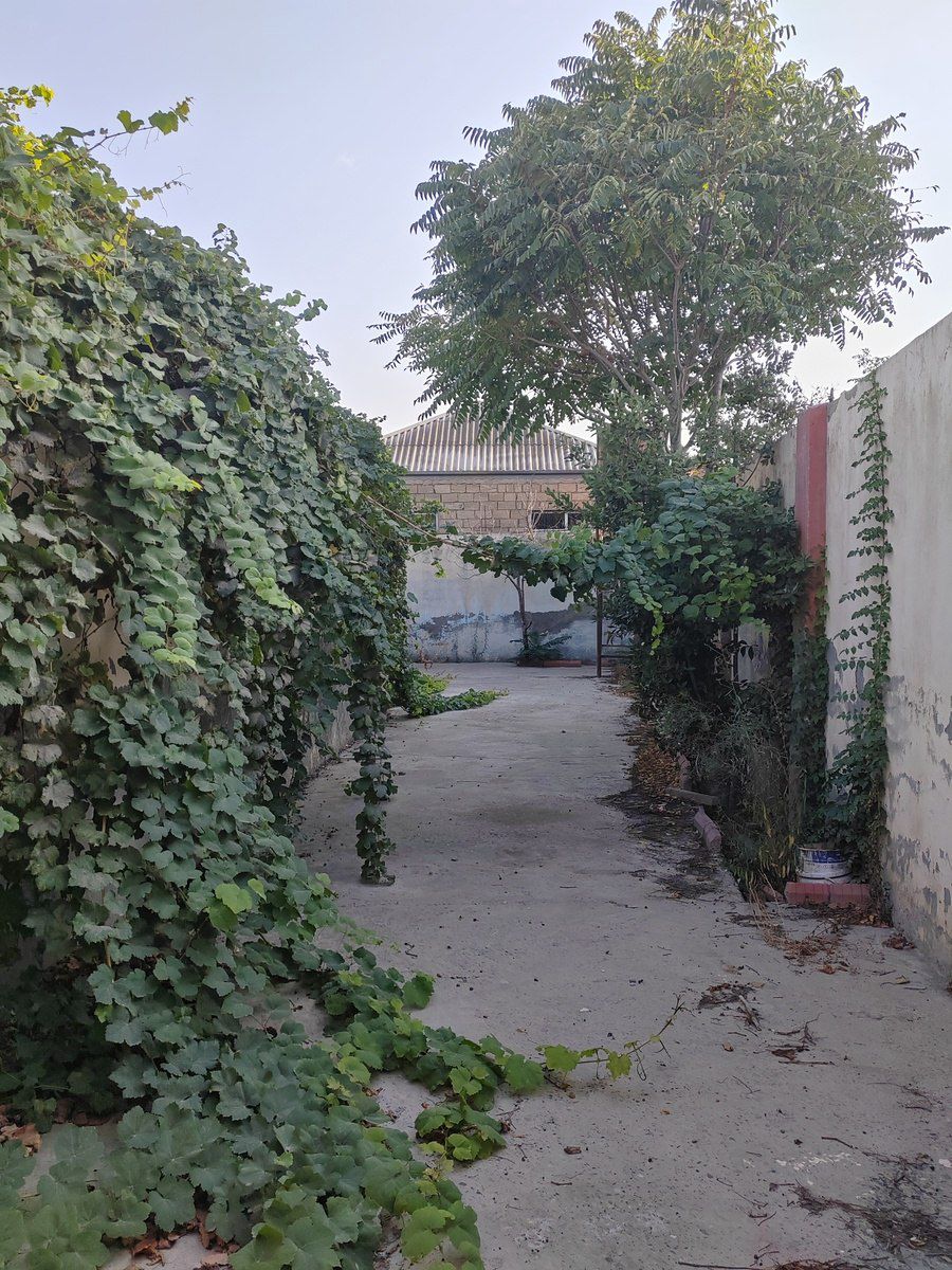 Satılır 3 otaqlı həyət evi/bağ evi 84 m² — Ev, villa, Bakı (2)