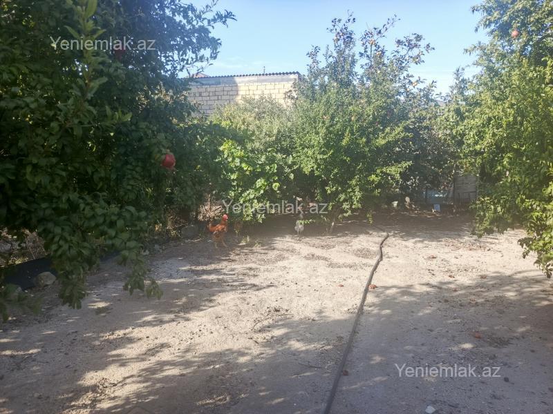 Satılır Torpaq sahəsi, 10 sot, Yeni Corat (Novruz q.) — Torpaq, Sumqayıt (7)