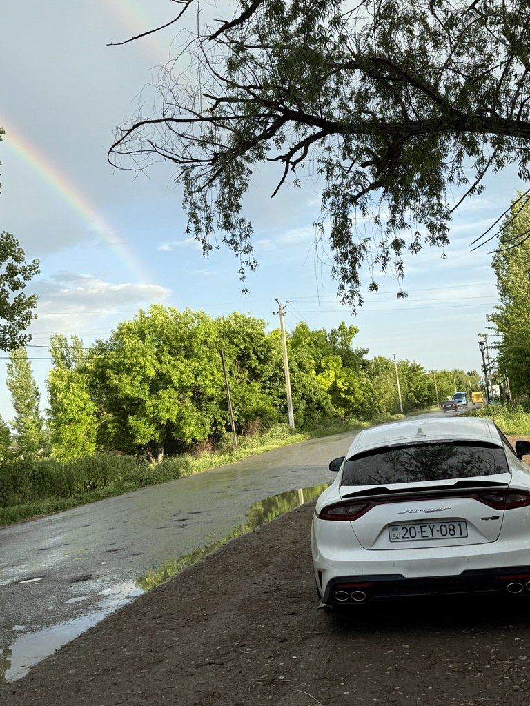 Kia Stinger, 2.0 L, 2020 il, 196 340 km 20-EY-081 — Avtomobillər, Ağdam (3)