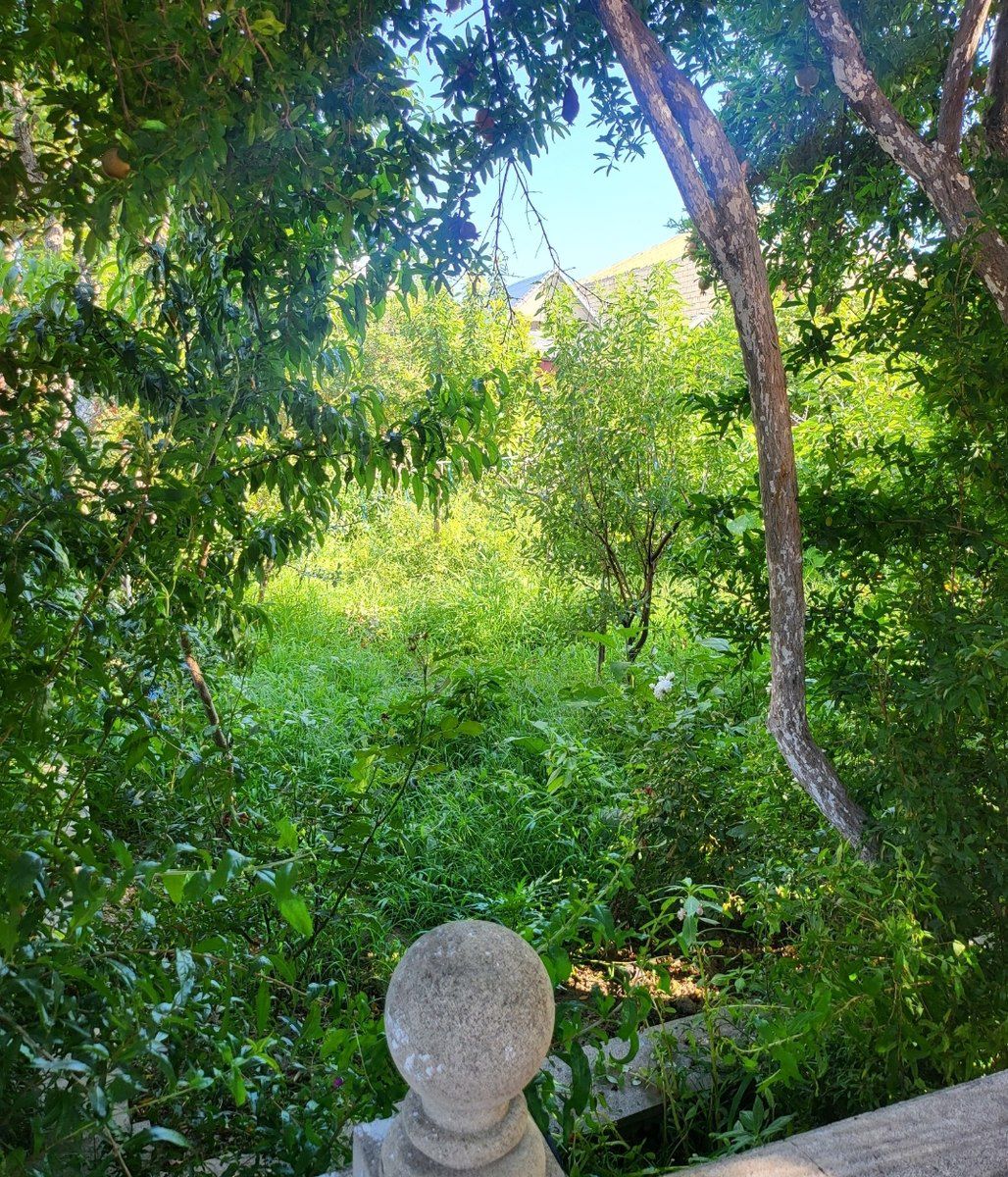 Satılır torpaq 8 sot — Torpaq, Bakı (10)