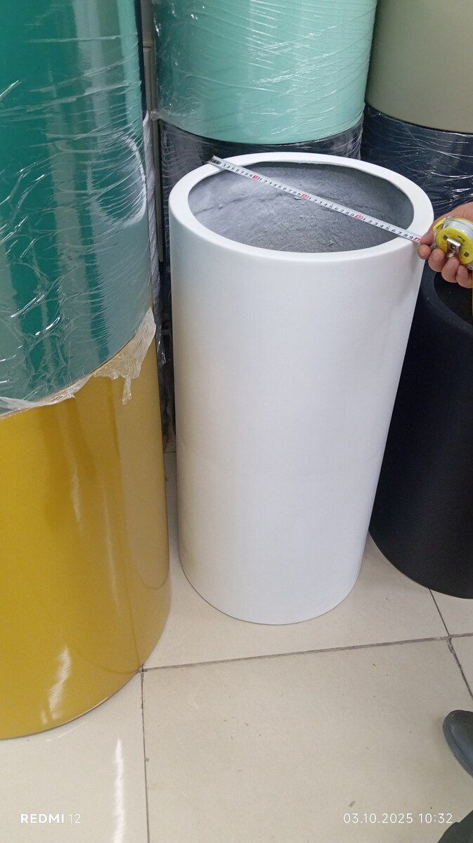 Dibçəklər — Bitkilər, Bakı (8)