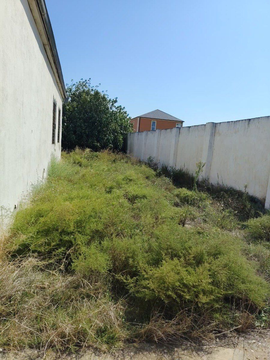 Satılır 3 otaqlı həyət evi/bağ evi 100 m² — Ev, villa, Bakı (7)