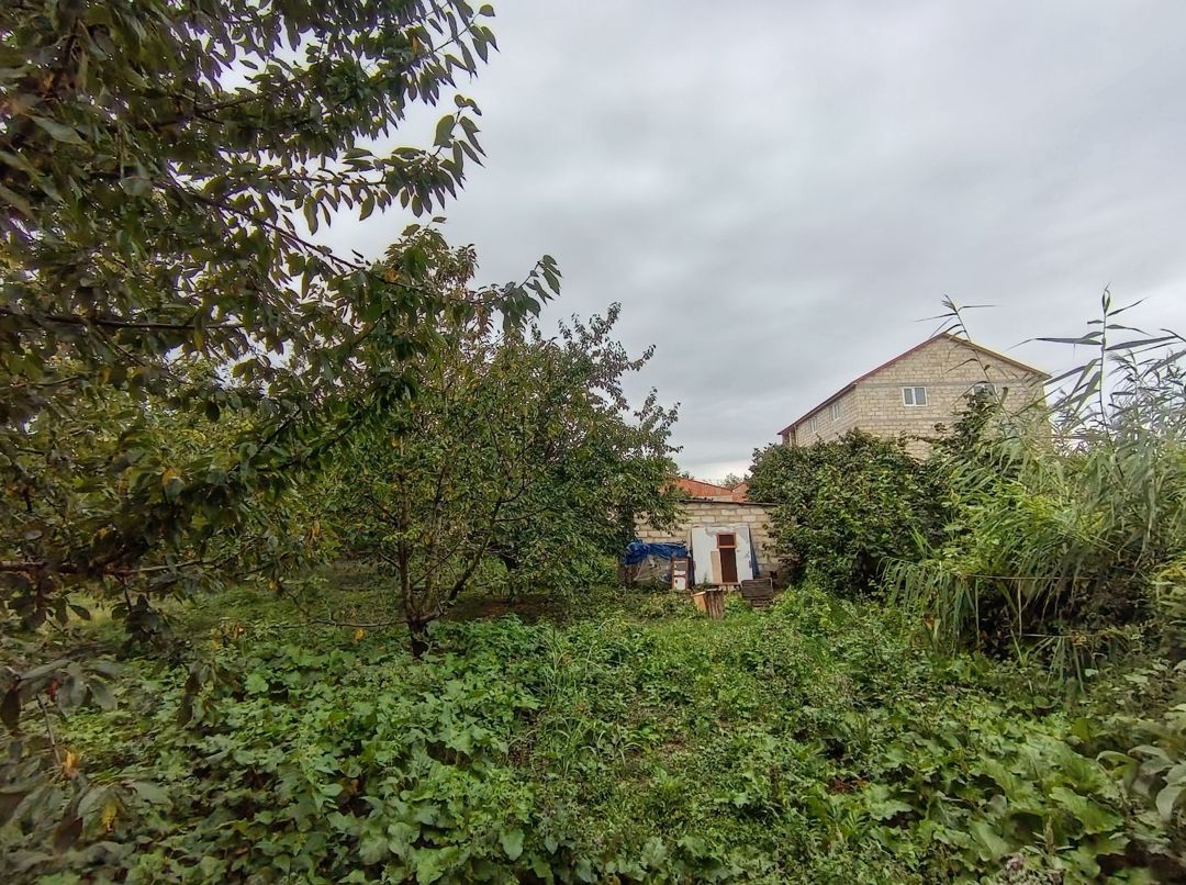 8 sot torpaq sahəsi, Quba r — Torpaq, Quba (5)