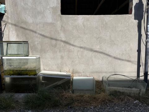 Akvaryum və akvarium avadanlıqları dəsti Məhsul tərkibi: - Fərqli — Xırdalan
