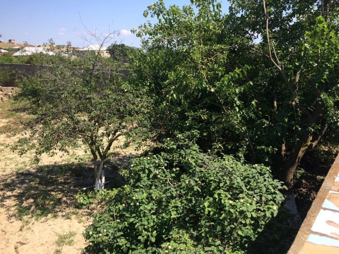 Bağ evi, Sumqayıt ş — Ev, villa, Sumqayıt (4)
