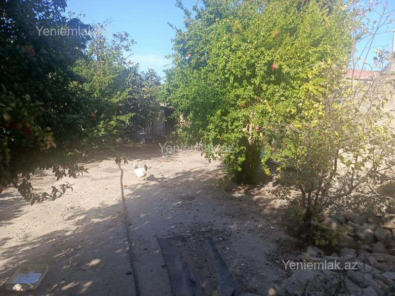 Satılır Torpaq sahəsi, 10 sot, Yeni Corat (Novruz q.) — Torpaq, Sumqayıt (8)